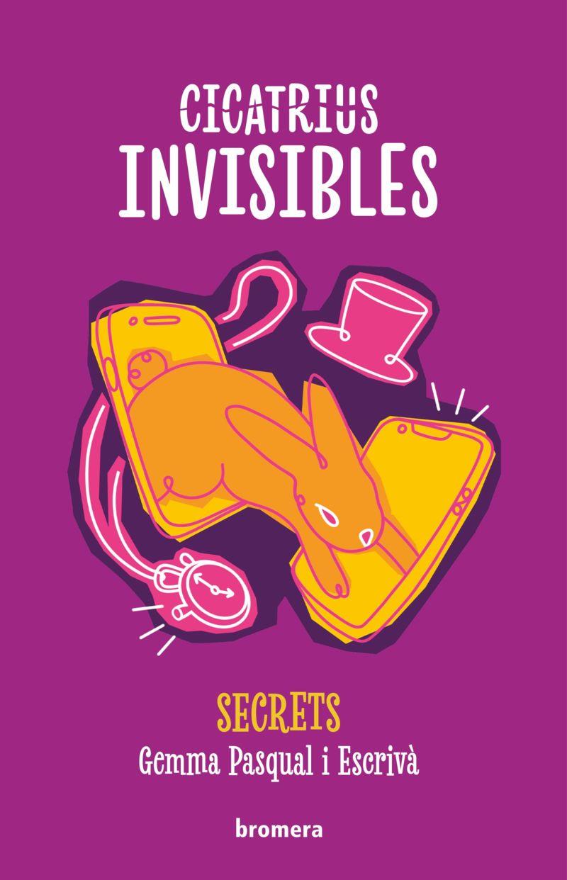 Cicatrius invisibles (Secrets; 2) | 9788413588971 | Gemma Pasqual i Escrivà