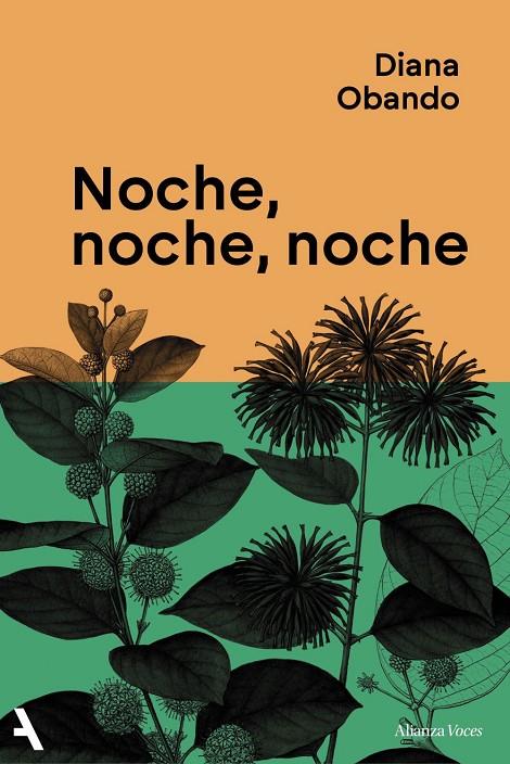 Noche, noche, noche | 9791370093235 | Diana Obando