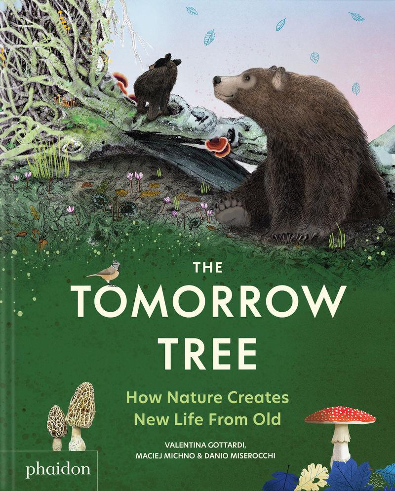 The tomorrow tree | 9781837290284 | Valentina Gottardi ; Maciej Michno ; Danio Miserocchi