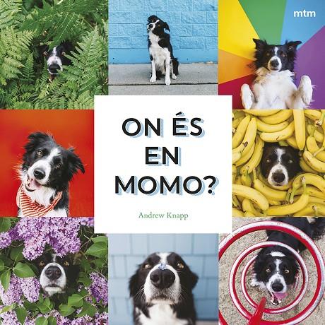 On és en Momo? | 9788410407893 | Andrew Knapp