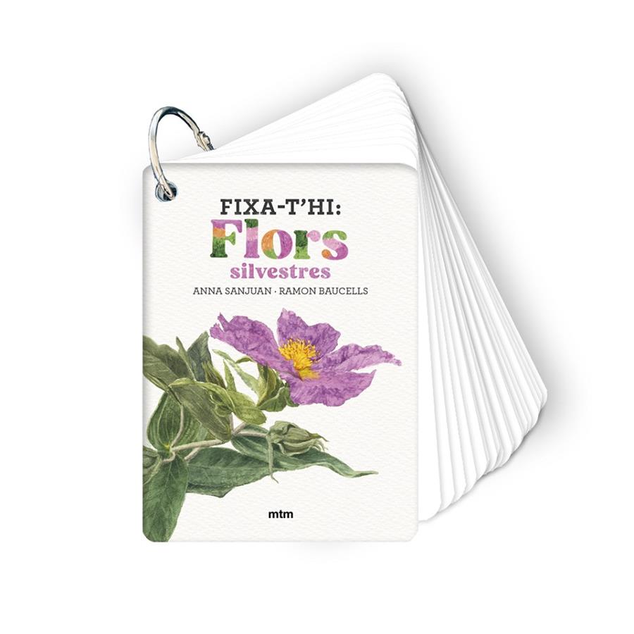 Fixa-t'hi: flors silvestres | 9788410407589 | Anna Sanjuan Llorens ; Ramon Baucells Colomer