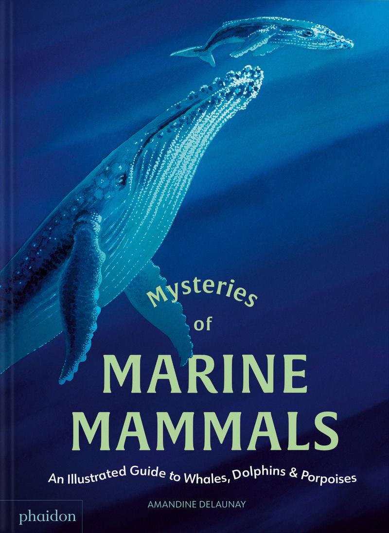 Mysteries of marine mammals | 9781837290208 | Amandine Delaunay