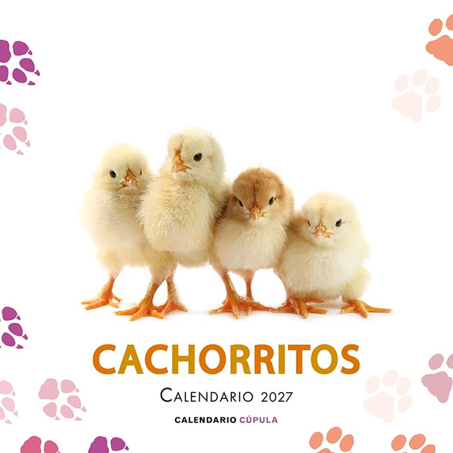 Calendario 2027 Cachorritos | 9788448049317