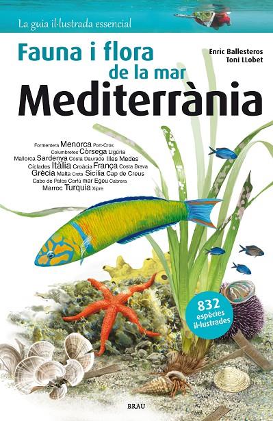 Flora i fauna de la mar Mediterrània | 9788415885979 | Enric Ballesteros ; Toni Llobet