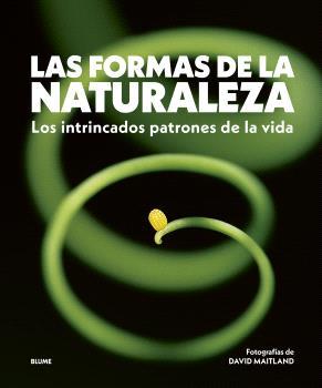 Las formas de la naturaleza | 9788410469822 | David Maitland