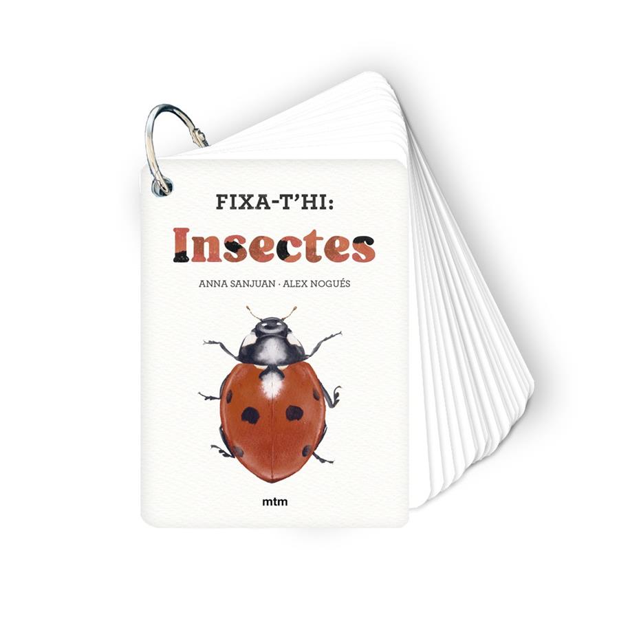 Fixa-t'hi: Insectes | 9788410407213 | Anna Sanjuan ; Àlex Nogués