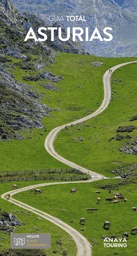 Asturias | 9788491587095 | Antón Pombo