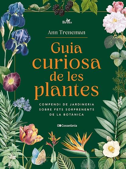 Guia curiosa de les plantes | 9788413565354 | Ann Trenema