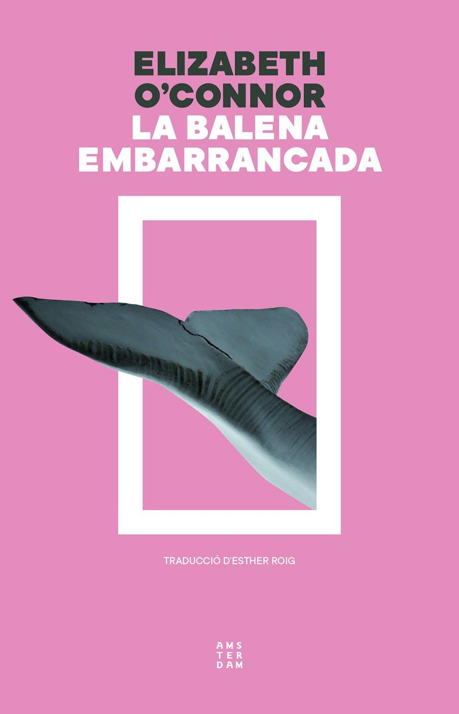 La balena embarrancada | 9788419960313 | Elizabeth O'Connor