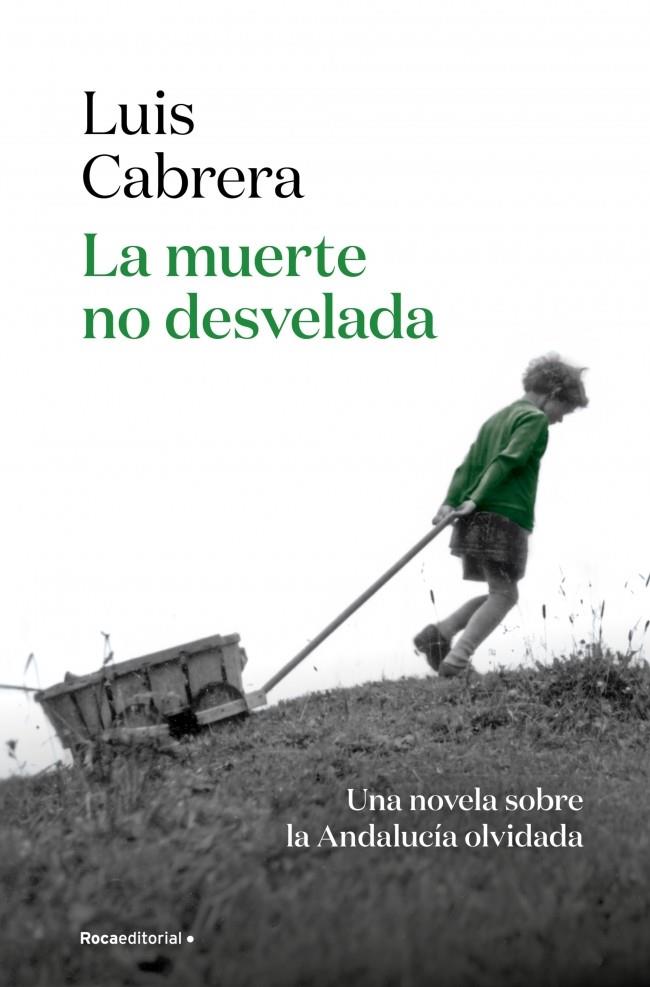 La muerte no desvelada | 9788410274402 | Luis Cabrera