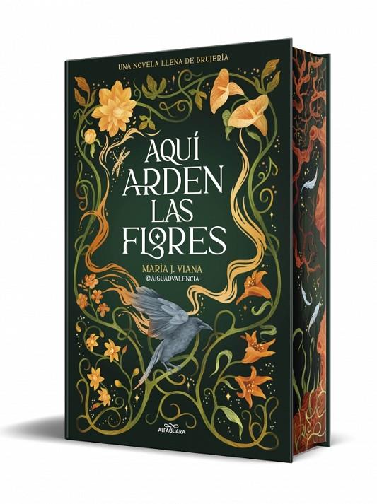 Aquí arden las flores | 9791387741662 | María J. Viana (@aiguadvalencia)