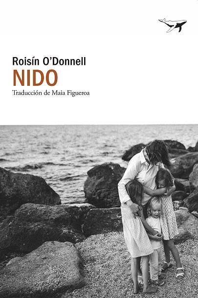 Nido | 9791399130300 | Roisín O'Donnell