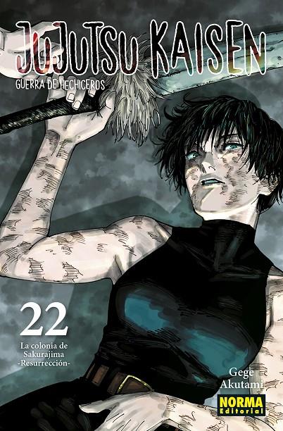 Jujutsu Kaisen 22 (Castellà) | 9788467962000 | Gege Akutami