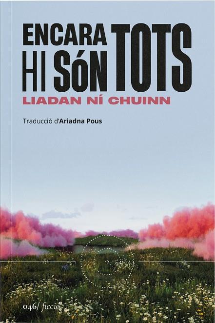 Encara hi són tots | 9788419059598 | Liadan Ní Chuinn