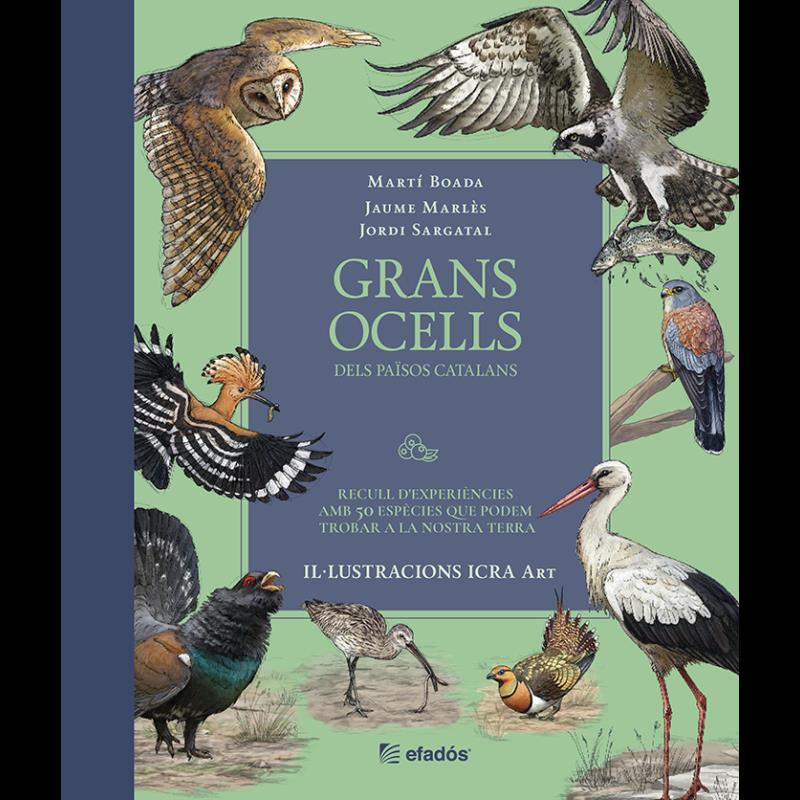 Grans ocells dels Països Catalans | 9791387658236 | Martí Boada ; Jaume Marlès ; Jordi Sargatal ; Icra Art