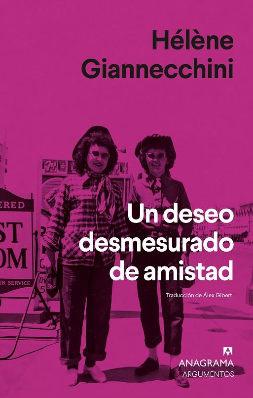 Un deseo desmesurado de amistad | 9788433948946 | Hélène Giannecchini