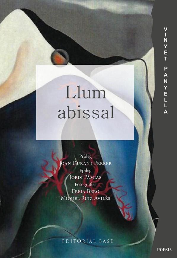 Llum abissal | 9791387728021 | Vinyet Panyella