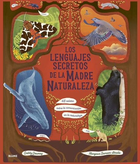 Los lenguajes secretos de la madre naturaleza | 9788410469945 | Gabby Dawnay ; Margaux Samson Abadie