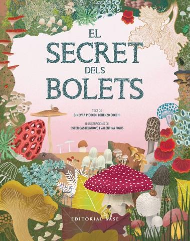 El secret dels bolets | 9791387728502 | Ginevra Picoco ; Lorenzo Cocchi ; Ester Castelnuovo ; Valentina Figus