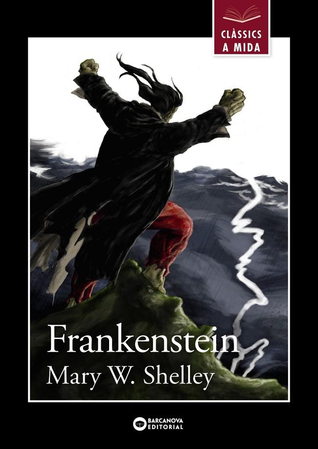 Frankenstein (català) | 9788448934927 | Mary W. Shelley