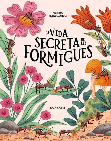 La vida secreta de les formigues | 9791399026573 | Nereina Melguizo Ruiz ; Kaja Kajfez