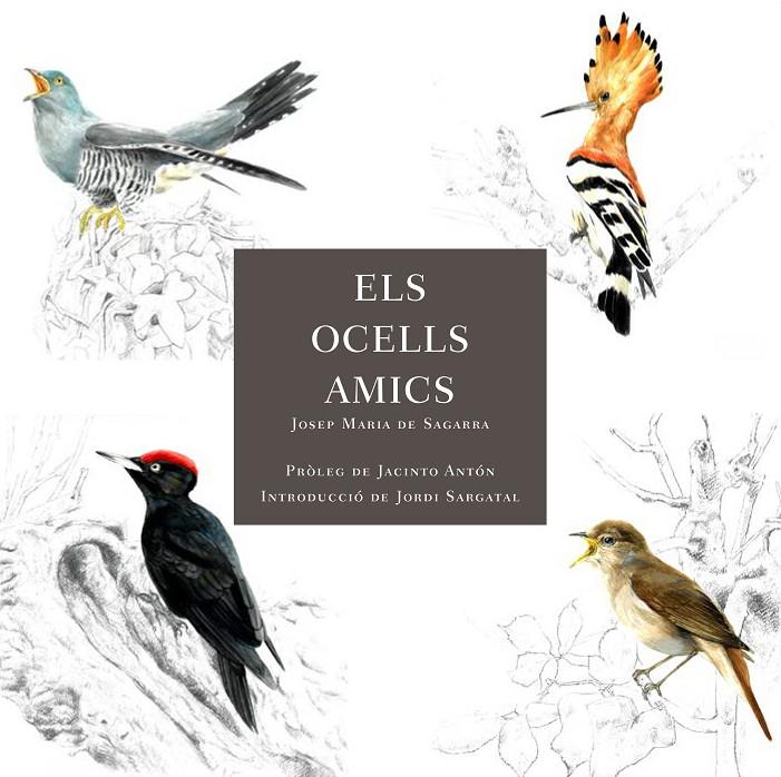 Els ocells amics | 9788412949025 | Josep Maria de Sagarra