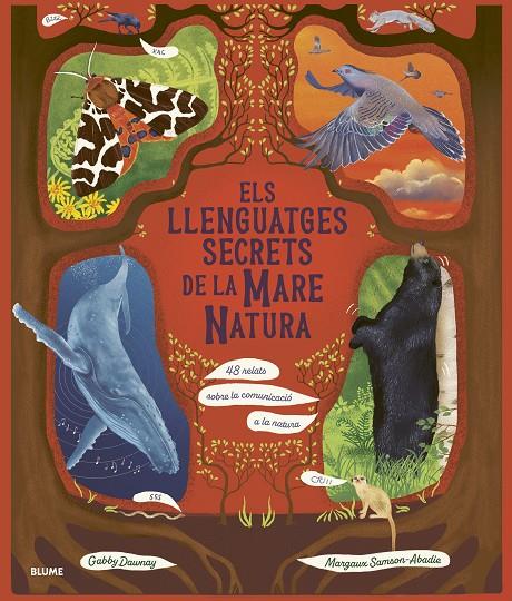 Els llenguatges secrets de la mare natura | 9788410469952 | Gabby Dawnay ; Margaux Samson Abadie