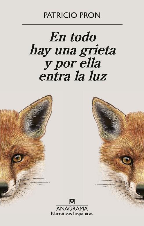 En todo hay una grieta y por ella entra la luz | 9788433949158 | Patricio Pron