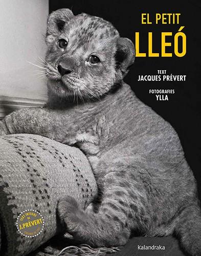 El petit lleó | 9788410387102 | Jacques Prévert ; Ylla