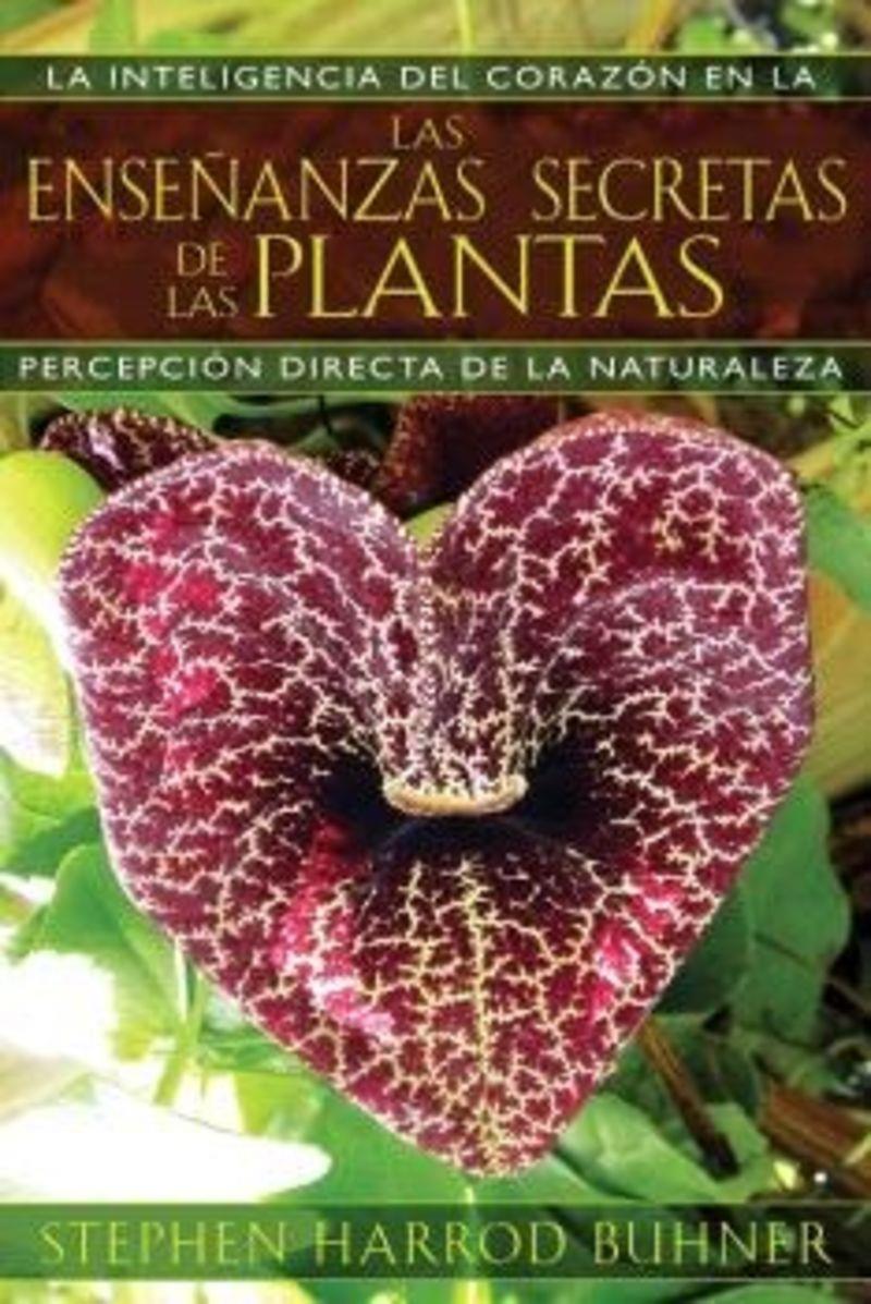 Las enseñanzas secretas de la plantas | 9781594774140 | Stephen Harrod Buhner