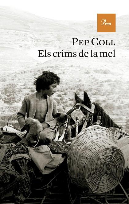 Els crims de la mel | 9788419657930 | Pep Coll