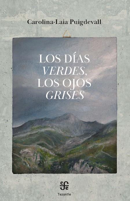 Los días verdes, los ojos grises | 9788437508658 | Carolina -Laia Puigdevall