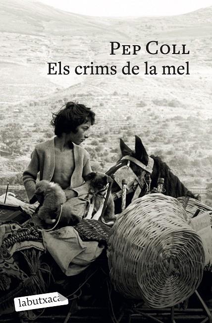 Els crims de la mel | 9791387802196 | Pep Coll