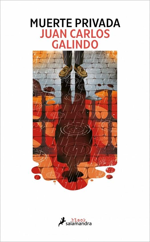 Muerte privada (Segovia noir; 2) | 9788410340503 | Juan Carlos Galindo