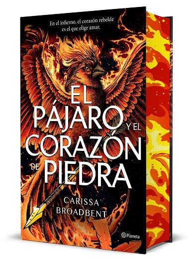 El pájaro y el corazón de piedra (Reinos de Nyaxia; 3) (edició de luxe) | 9788408314288 | Carissa Broadbent