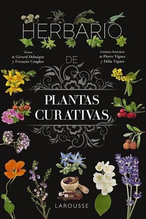 Herbario de plantas curativas | 9788410124110 | Gérard Debuigne ; François Couplan ; Pierre Vignes ; Délia Vignes