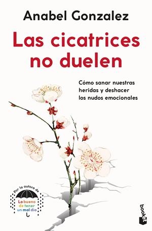 Las cicatrices no duelen | 9788408262343 | Anabel Gonzalez