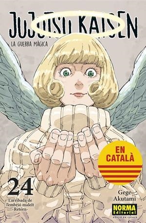 Jujutsu Kaisen 24 (català) | 9788467969962 | Gege Akutami