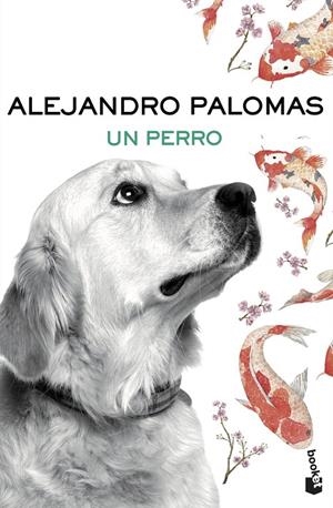 Un perro | 9788423351862 | Alejandro Palomas