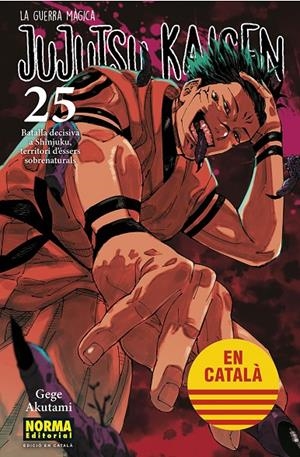 Jujutsu Kaisen 25 (català) | 9788467969979 | Gege Akutami