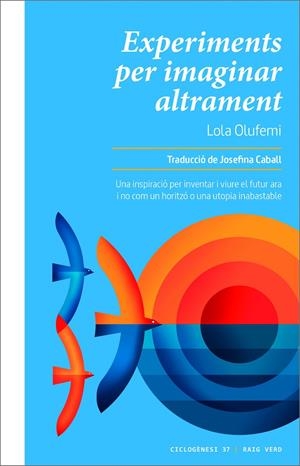 Experiments per imaginar altrament | 9788419206299 | Lola Olufemi