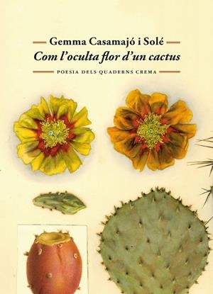 Com l'oculta flor d'un cactus | 9788477277071 | Gemma Casamajó i Solé