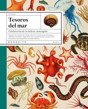 Tesoros del mar | 9788419095749 | Núria Margarit