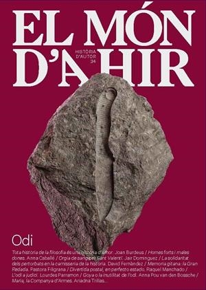 El món d'ahir 34 : Odi | 9788419968432