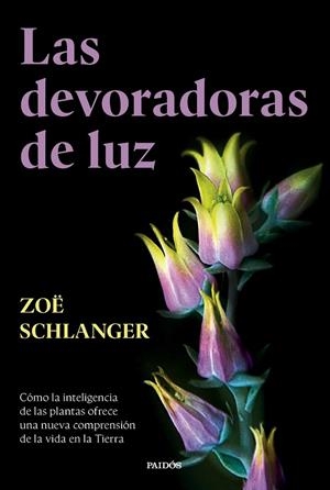 Las devoradoras de luz | 9788449343742 | Zoë Schlanger
