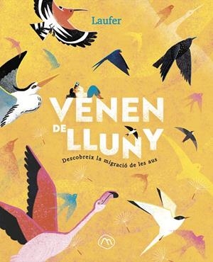 Venen de lluny | 9788482897349 | Laufer