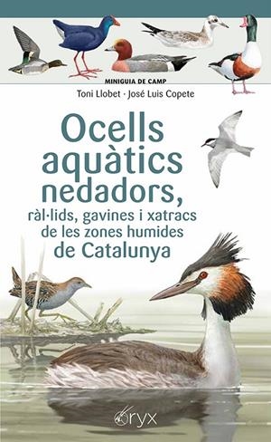 Ocells aquàtics nedadors, ràl·lids, gavines i xatracs de les zones humides de Catalunya | 9788413564883 | Toni Llobet ; José Luis Copete