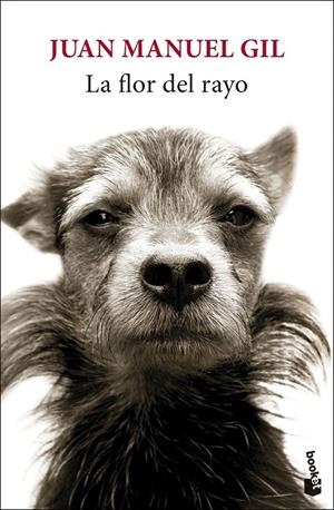 La flor del rayo | 9788432244827 | Juan Manuel Gil