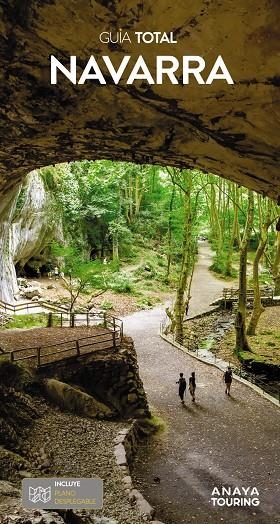 Navarra | 9788491589426 | José María Domenech ; Luis Azpilicueta