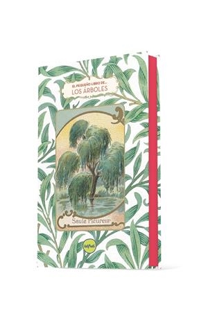 El pequeño libro de los árboles | 9788412795677 | Dominique Pen Du